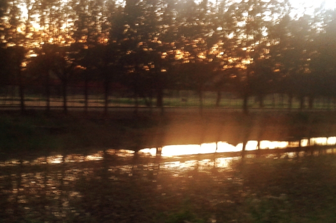 small lake near dusk